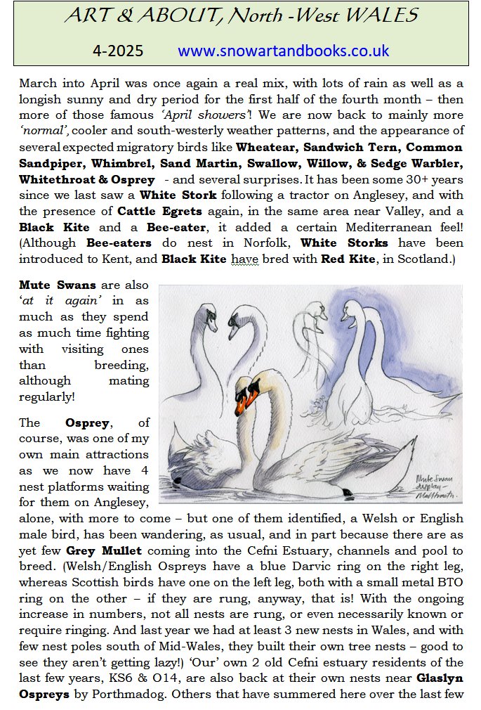 philipsnowart's tweet photo. A brief look at some of Anglesey' and NW Wales Wildlife this last month, [largely sketched from life or memory] https://t.co/merAdDmf8h