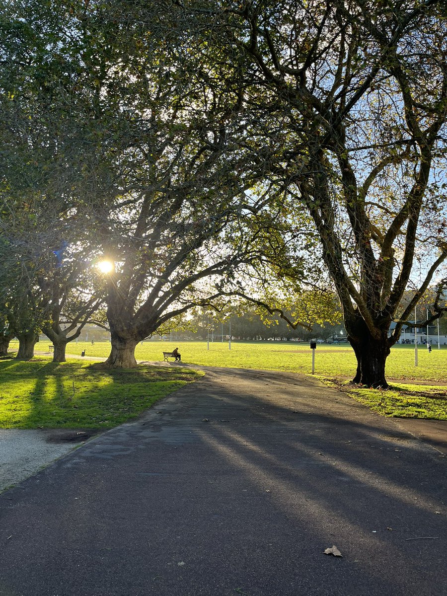 のどかで自然豊かなニュージーランド🇳🇿