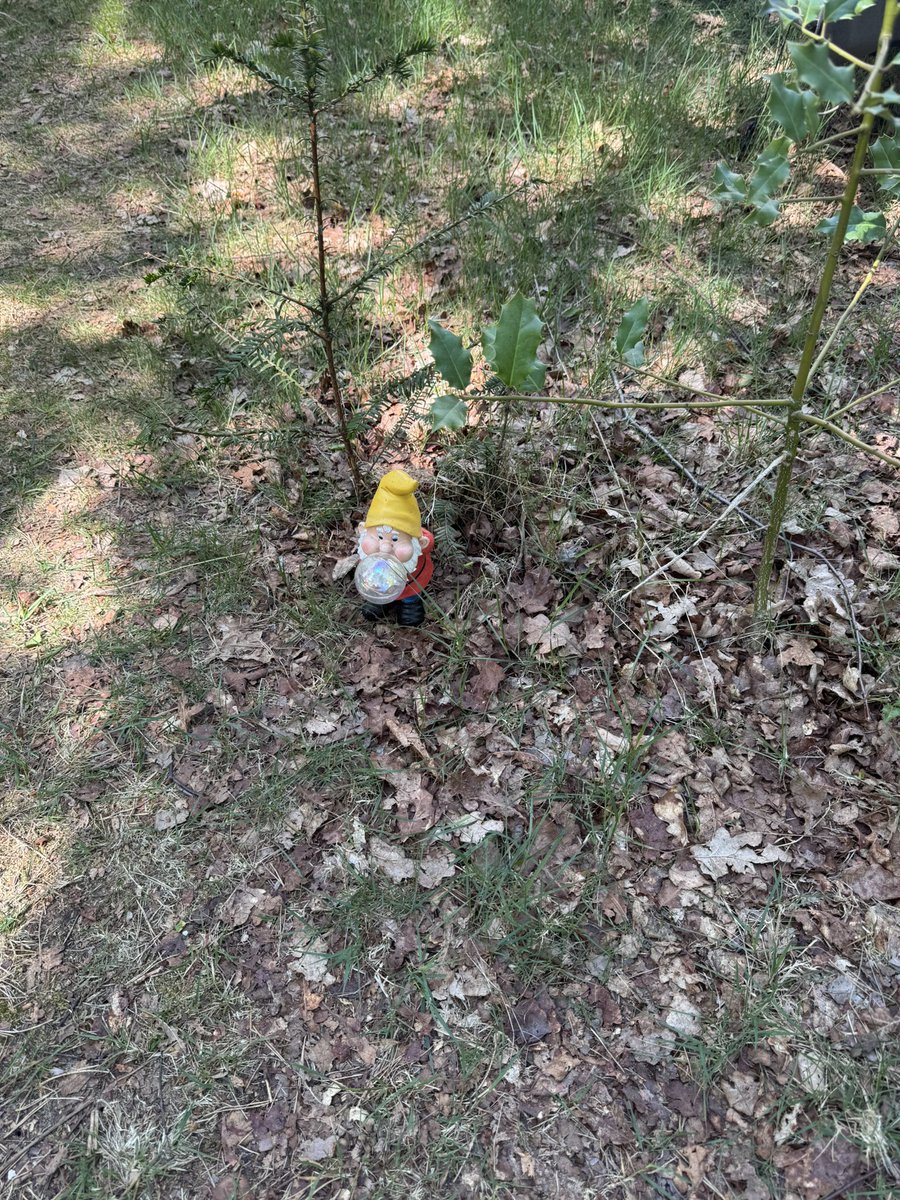 miesie035's tweet photo. Ik kon nog net een foto maken!
Ik zag hem echt!
#campinglife #kabouter https://t.co/xawaXe4Ajg
