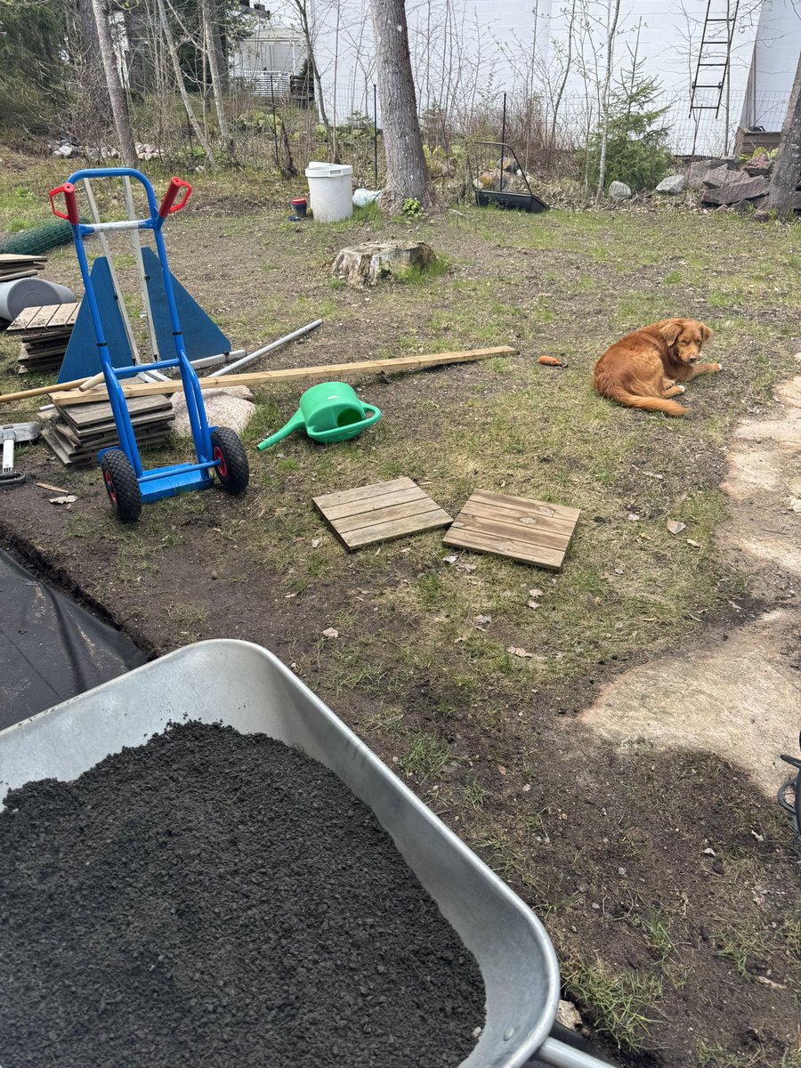 Pihahommia eli polun tekoa. Työnjohto ottaa hieman iisimmin. Eikö nää ollut niitä miesten hommia? Häh?