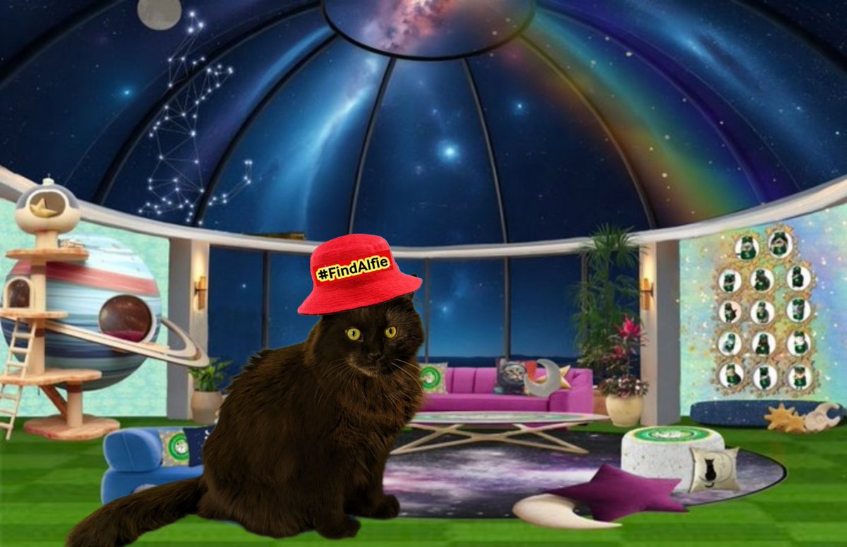 Good morning and Happy #Caturday from #HWCafe planetarium! It's super early but I leaped across the pond to grab a special #FindAlfie hattie and some takeout! Hope I'm not too late!😬Could I have a sossidge feast and a #FindAlfie nip shake please?