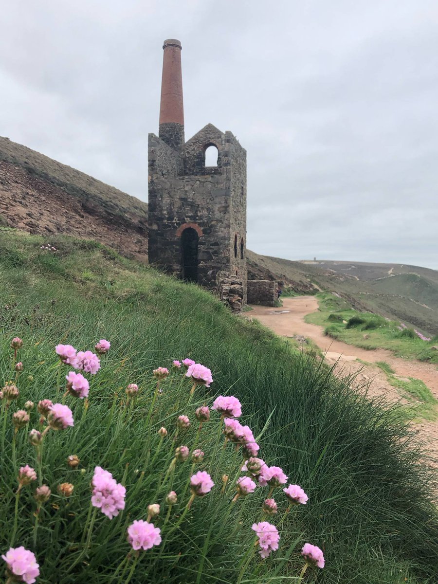 Community Harmony Scarf tweet media