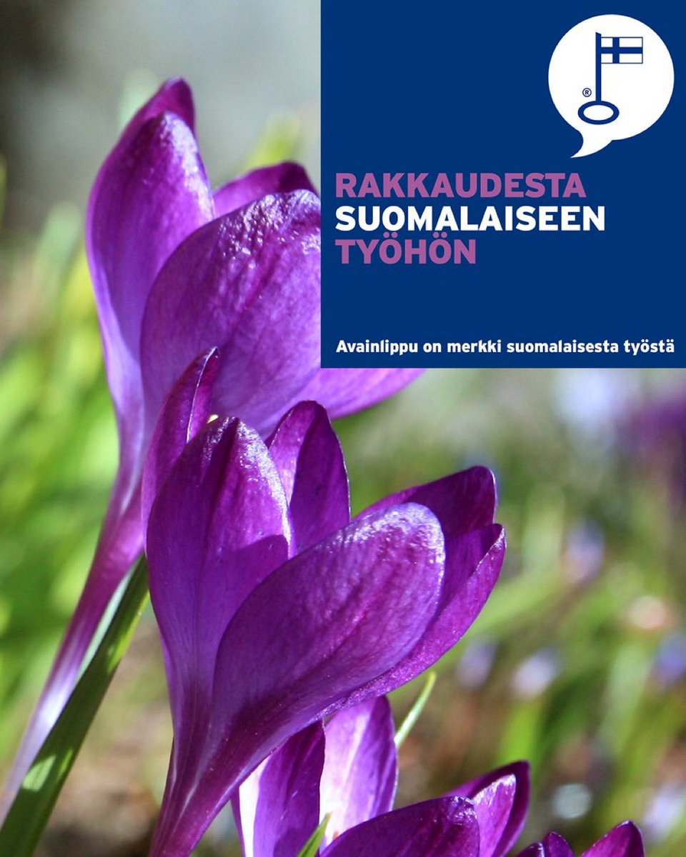 Hanki kontit suomalaisesta  verkkokaupasta Kontti.fi 
#avainlippu #kotimainen #suomalainentyö