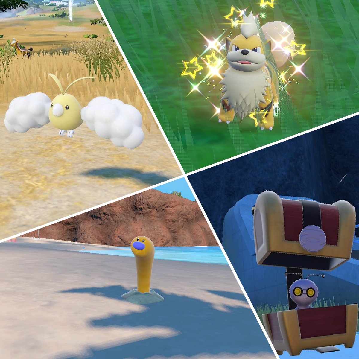 GalaxyWome's tweet photo. No worries you haven't been eating too much raw meat! WIGLETT is part of the event. 🐟✨

Celebrate Golden Week with these special Mass Outbreaks: Wiglett, Growlithe &amp; Swablu
All with boosted Shiny rates! 🎉
1/2
#Pokemon #ShinyPokemon #Nintendo #pokemonscarlet #pokemonviolet https://t.co/WEDi0tnGjH
