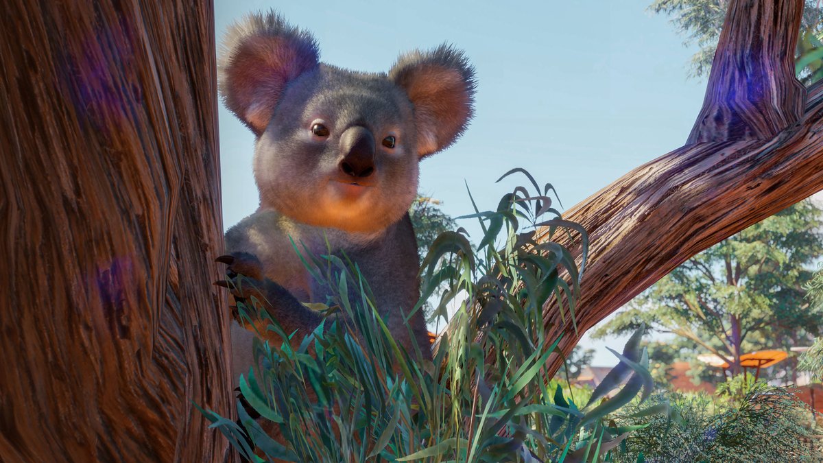 Happy International Koala day!

Despite the name, Koala's are not actually bears but are marsupials and carry their young in pouches!

We'd love to see your Planet Zoo Koala enclosures!