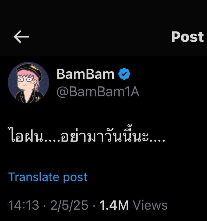 หลิงหลิงวันเอ ∋∈ 💚 tweet media