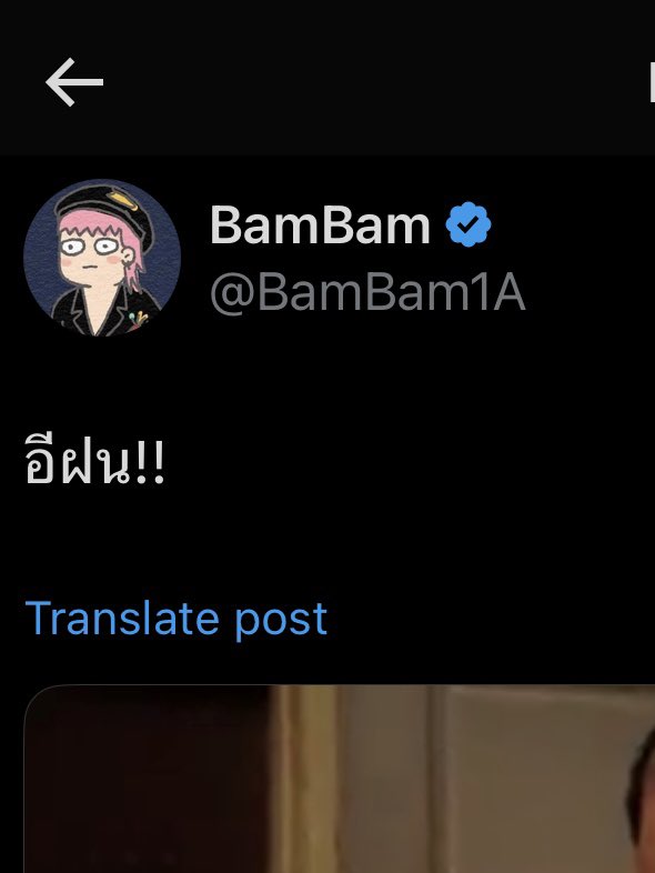 หลิงหลิงวันเอ ∋∈ 💚 tweet media