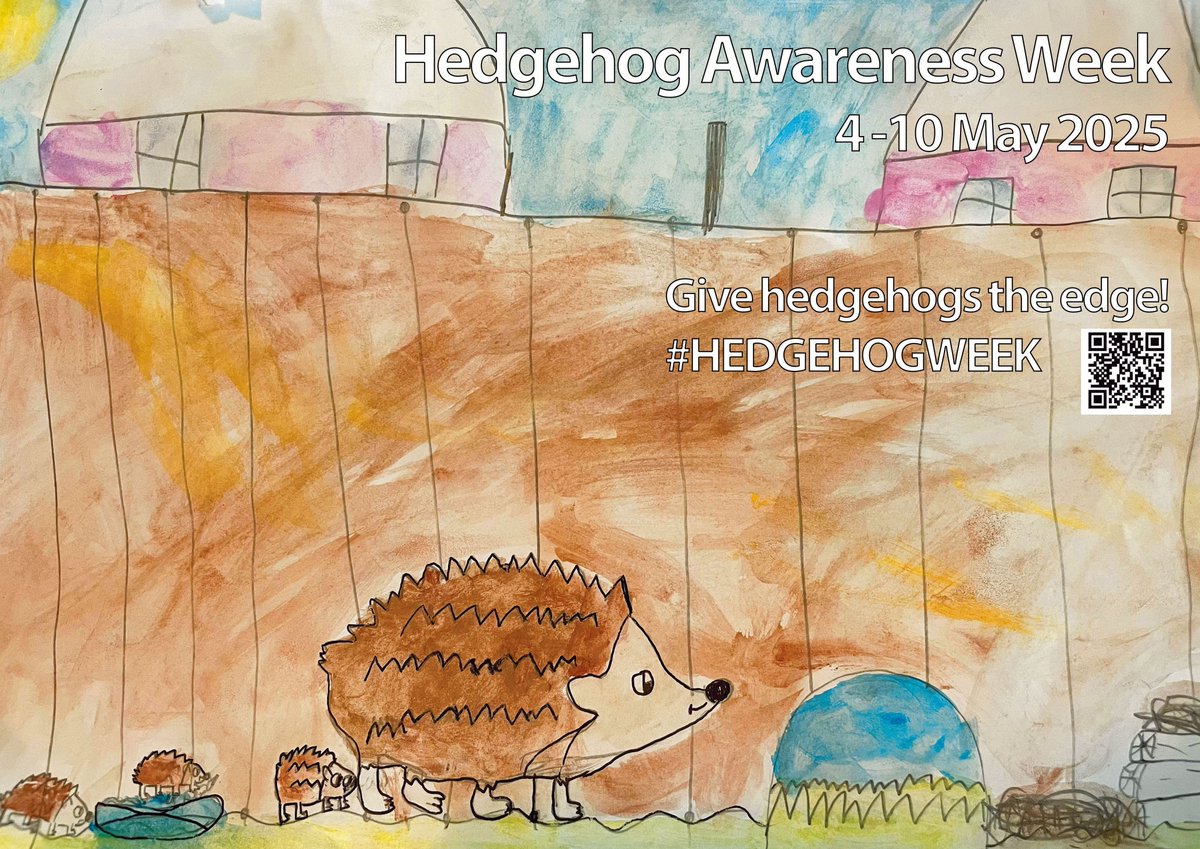 On 4 May, #HedgehogWeek begins - just as #NationalGardeningWeek ends
What better way to celebrate than adding #hedgehog-friendly features to your garden?
Create log piles, wild edges &amp; add 13x13cm hedgehog highways to gardens🦔
buff.ly/5G7QJ1m

✏️ Gwenllian, 8