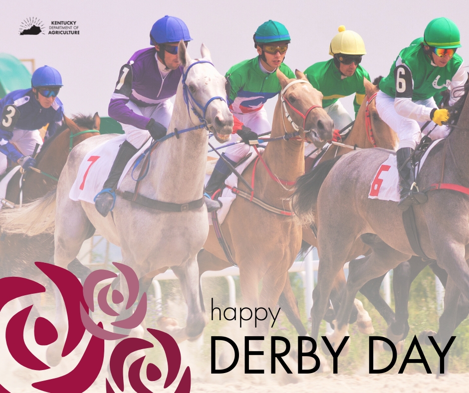 kentuckyag's tweet photo. 🌹Happy Derby Day, Kentucky! We’re proud to recognize the farmers behind it all. From the horses to the food and flowers, Kentucky agriculture is at the heart of every Derby tradition.

Here’s to the 151st Run for the Roses - and to the people who make it possible. #derby2025 https://t.co/KKZYmPbVBd