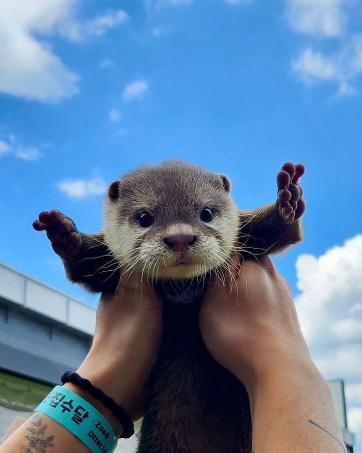 MAGIKARP🦈💦 tweet media