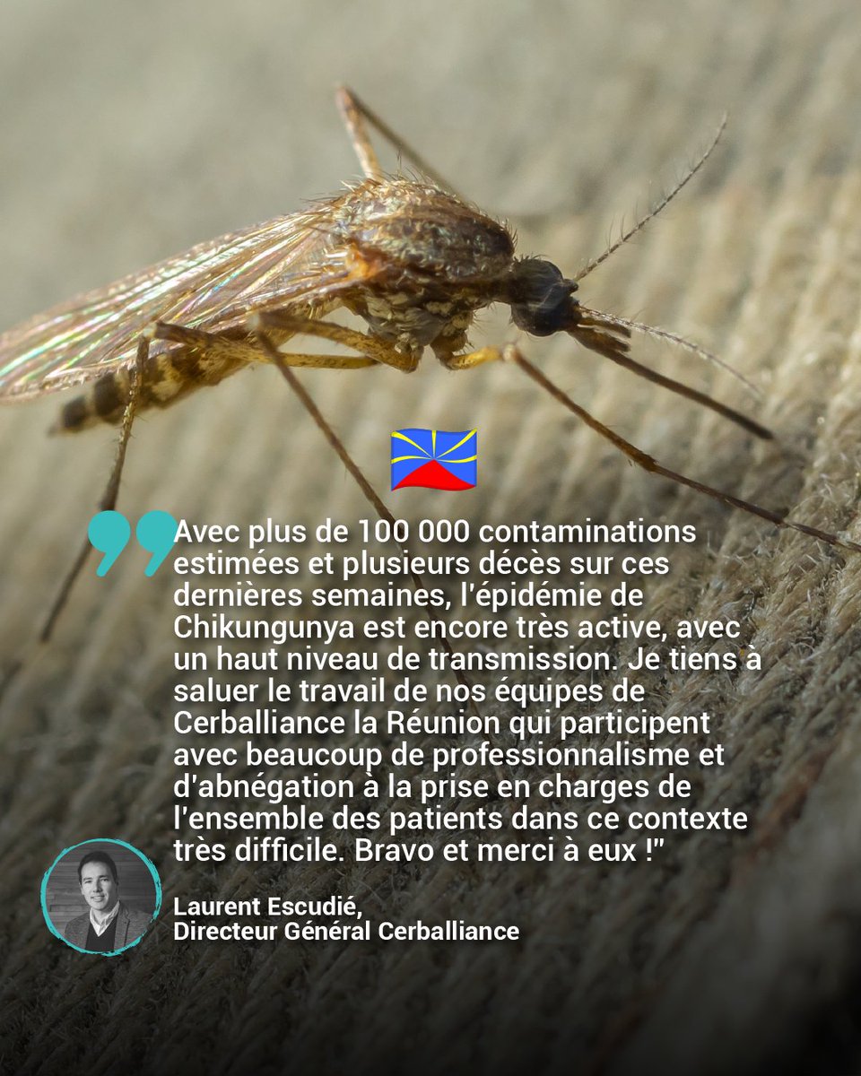 Cerballiance (@cerballiance) on Twitter photo 🇷🇪 À la Réunion, nos équipes font face à une épidémie de #Chikungunya d’une très forte intensité.
🙏 Nous tenons à exprimer notre reconnaissance envers nos collaborateurs réunionnais pour leur engagement auprès des patients, des médecins et des autorités locales.
<a href="/ARS_LaReunion/">ARS La Réunion</a> 🇷🇪 À la Réunion, nos équipes font face à une épidémie de #Chikungunya d’une très forte intensité.
🙏 Nous tenons à exprimer notre reconnaissance envers nos collaborateurs réunionnais pour leur engagement auprès des patients, des médecins et des autorités locales.
<a href="/ARS_LaReunion/">ARS La Réunion</a>