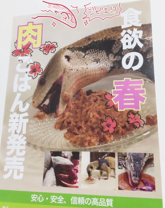 そういえば今朝方月夜野ファームさんから届いた珀ご飯の段ボールにこのチラシが入ってて、「ジビエ肉通販始まるの!?」とワクテカしたんだった。始まるらしいですよ 