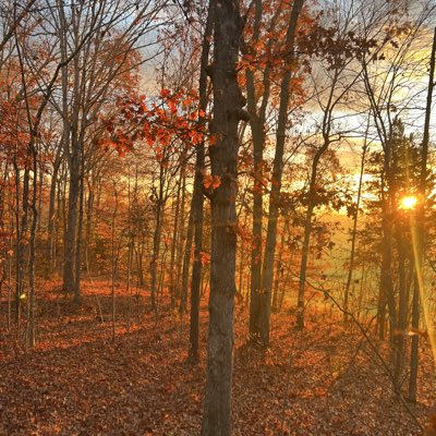 MDE Outdoors tweet media