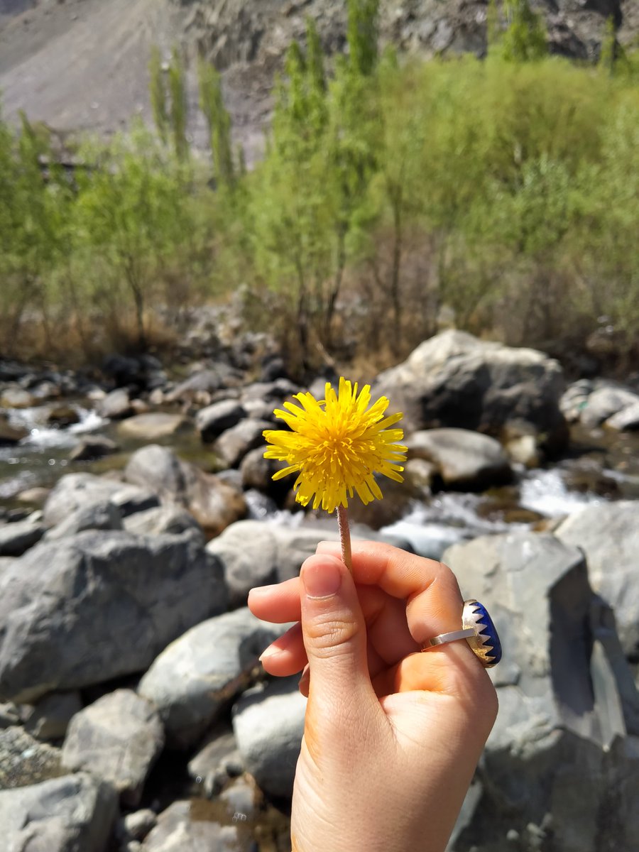 theroojjj's tweet photo. therapy? i live in skardu. https://t.co/pjbyWw4gfj
