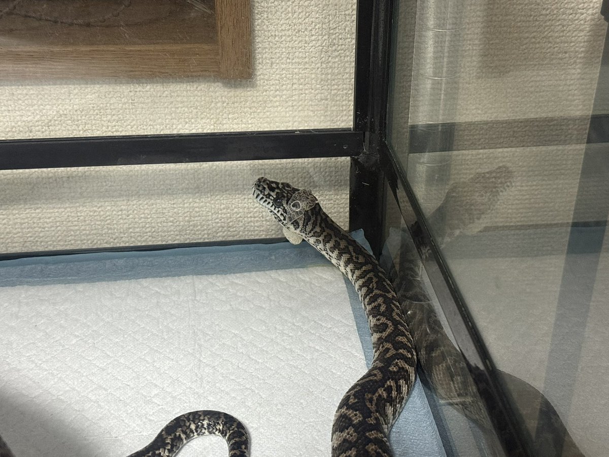 頑張ってる！えらいぞー！