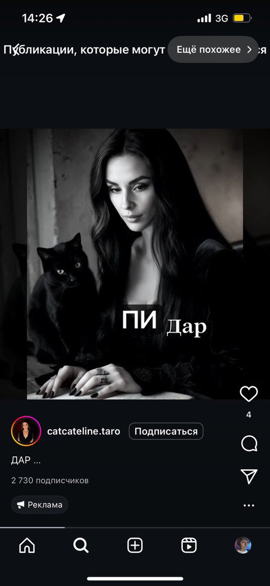 Катерина Лососиноостровская🐁 (@_ket4a) on Twitter photo 