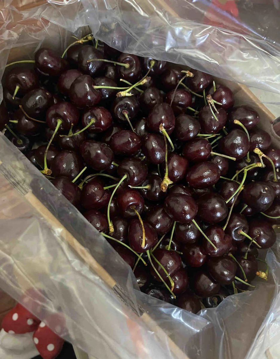 CeCeFrey8's tweet photo. Fruits are indispensable in any meal ☺️ https://t.co/1yoLOIbjrh