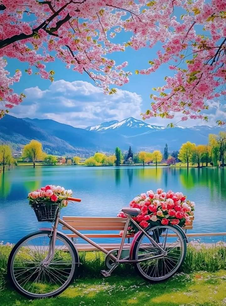 World like paradise (@magical__views7) on Twitter photo 