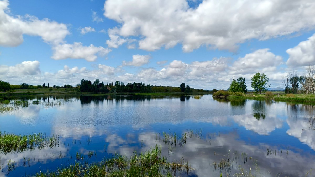 Diego Sesma-Martín tweet media