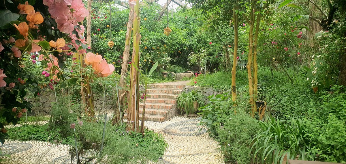 LOVE TODAY MV 촬영장소 : 연천 허브빌리지