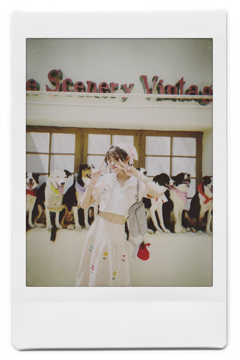_jeaniiZ's tweet photo. 🐶 https://t.co/uoJWiniV77