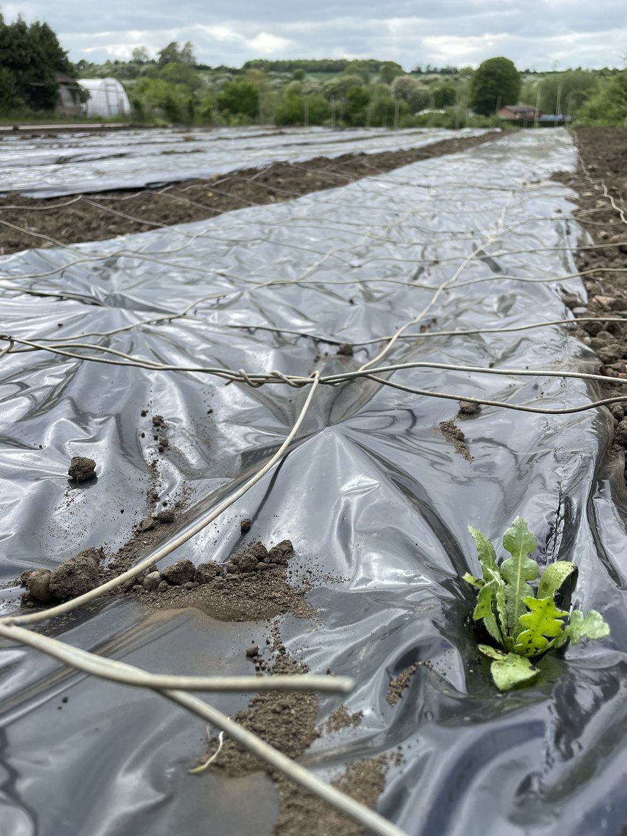 One down, 14,000 to go!