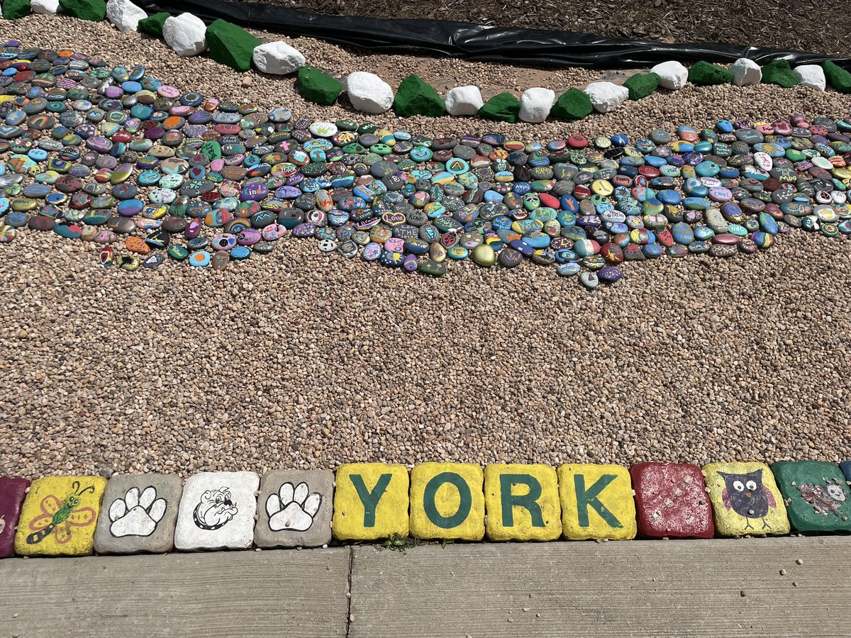 Kate Williams tweet media