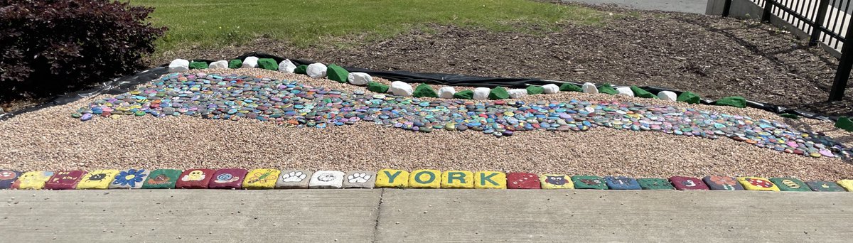 Kate Williams tweet media