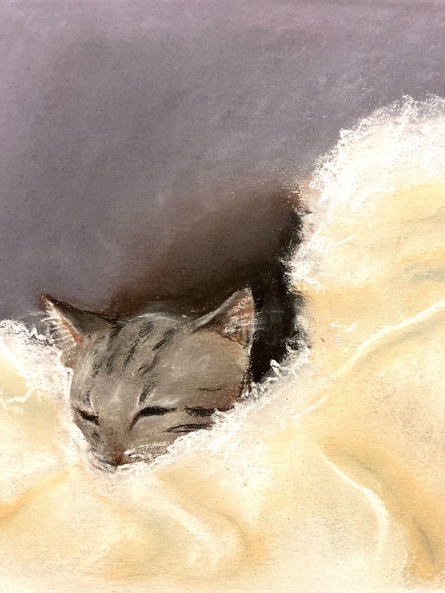 Hello #caturday
#art #cat #sleepykitty