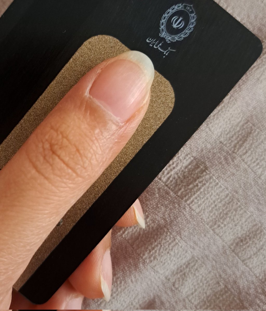 پروانه 🦋 tweet media