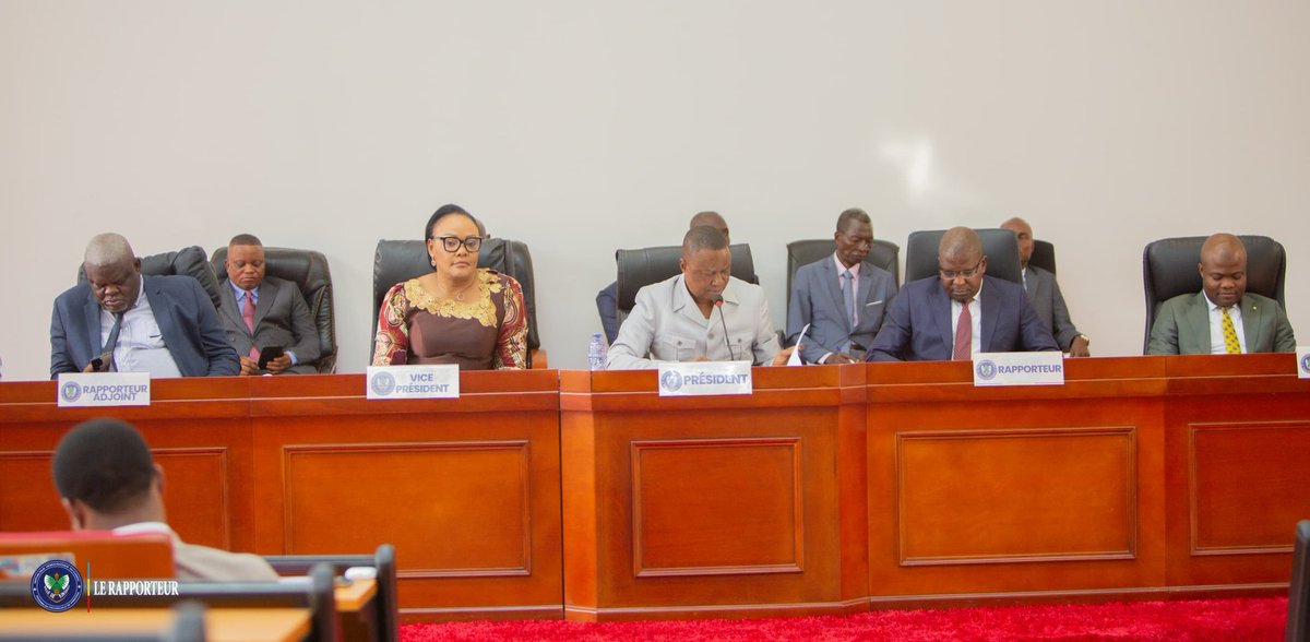 Assemblée Provinciale de Kinshasa tweet media