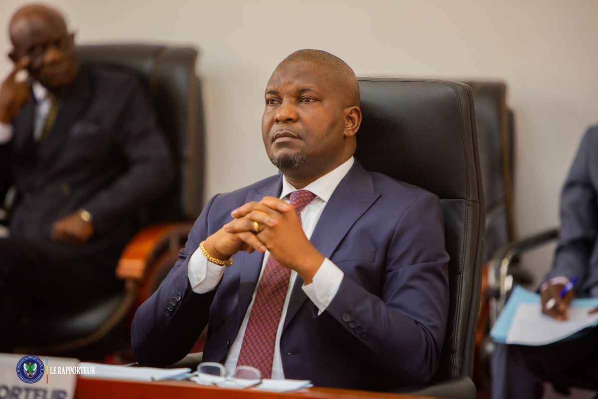 Assemblée Provinciale de Kinshasa tweet media