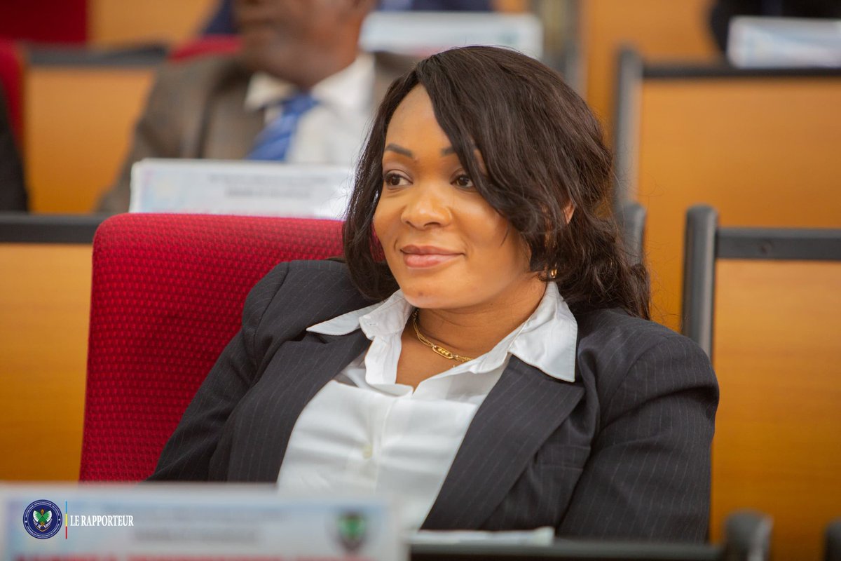 Assemblée Provinciale de Kinshasa tweet media