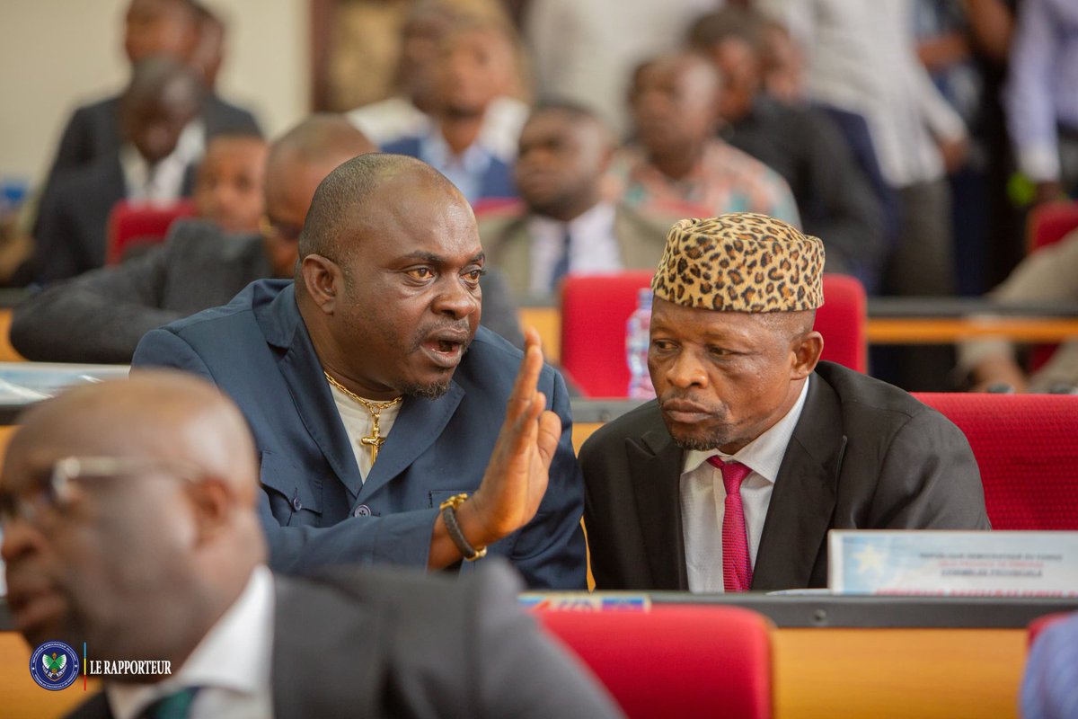 Assemblée Provinciale de Kinshasa tweet media