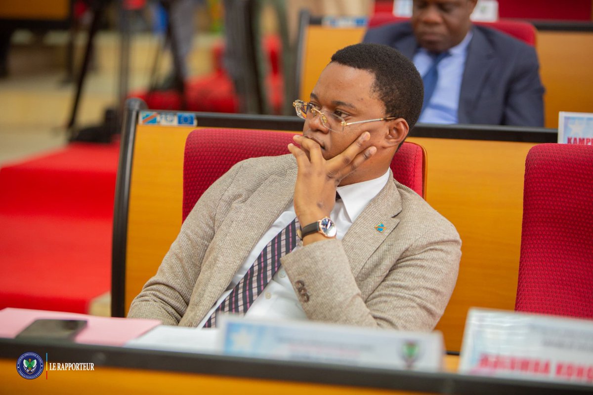 Assemblée Provinciale de Kinshasa tweet media