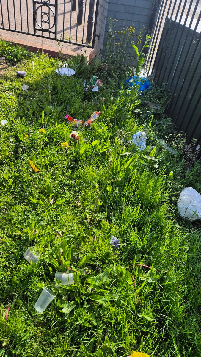 Litter Clear-Volunteer tweet media