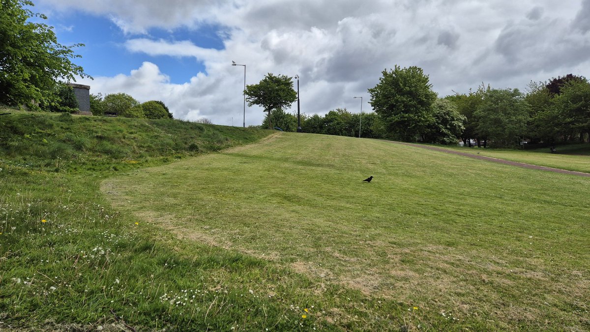 Litter Clear-Volunteer tweet media