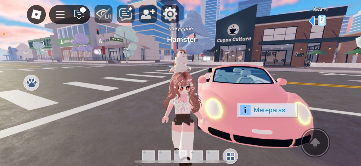 racheesel's tweet photo. pink in rl &amp; roblox 💓 https://t.co/BOXIDAf8aw