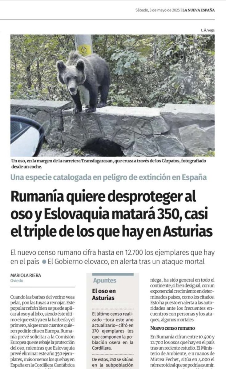 Guiller 🇪🇸✈️ (@guillercil) on Twitter photo Primero fueron a por el lobo, que el oso iba a ser el siguiente en la lista no se podía saber.
Empieza la labor de zapa en los #mediosvendidosalpoder.
<a href="/apulin_colorado/">Apulín Colorado🪢⛏️❄️</a> Primero fueron a por el lobo, que el oso iba a ser el siguiente en la lista no se podía saber.
Empieza la labor de zapa en los #mediosvendidosalpoder.
<a href="/apulin_colorado/">Apulín Colorado🪢⛏️❄️</a>