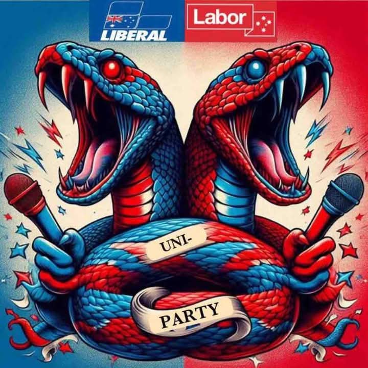 Dallas Miller tweet media