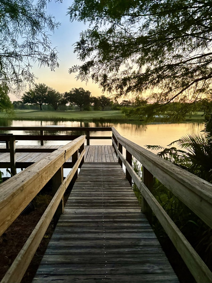 Reade Tillman tweet media