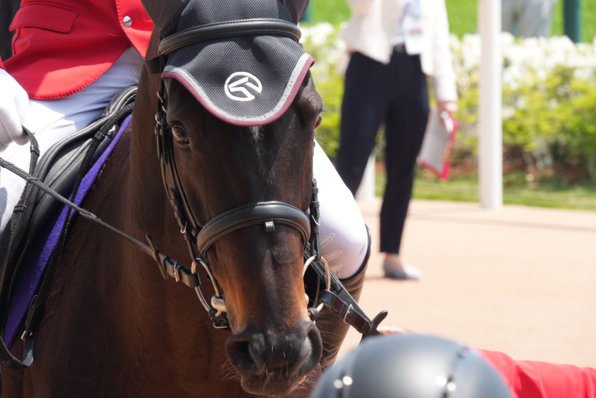 turn0218Bond's tweet photo. 2025/5/3 京都競馬場
ディープボンド、イケメンです
誘導馬の帽子も似合ってるね
アイドルホースで誘導馬バージョン発売されへんかな……帽子でもいい https://t.co/eTobFAj5SC