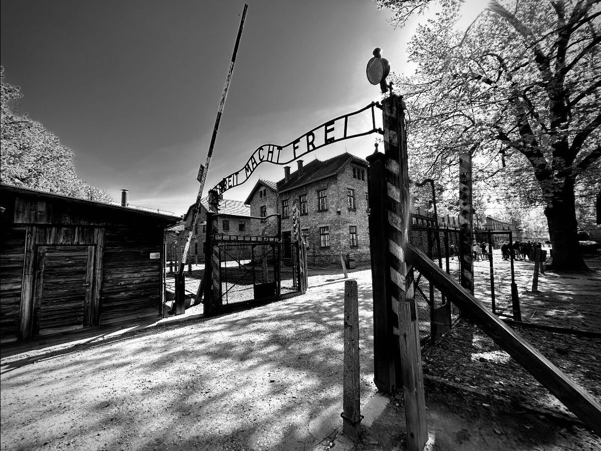 CultExp's tweet image. Through the traveller's lens, Images from our most recent Holocaust tour mailchi.mp/theculturalexp…