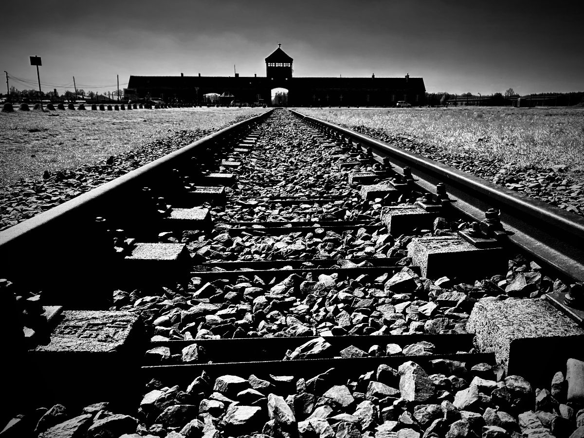 CultExp's tweet image. Through the traveller's lens, Images from our most recent Holocaust tour mailchi.mp/theculturalexp…