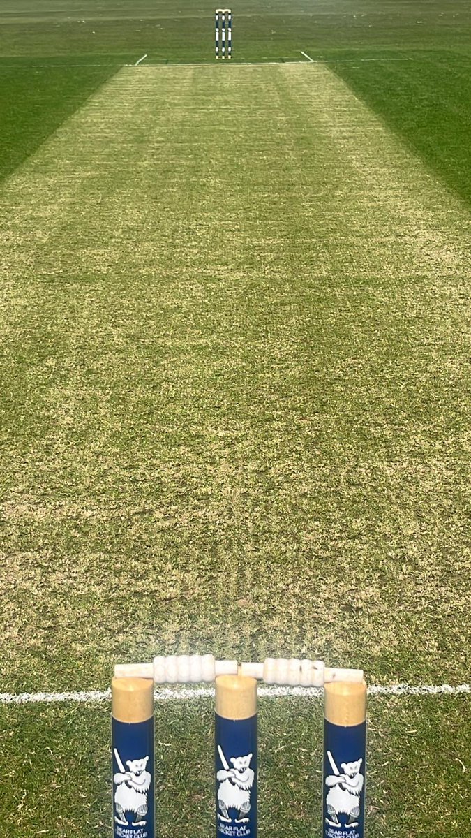 David cobb tweet media