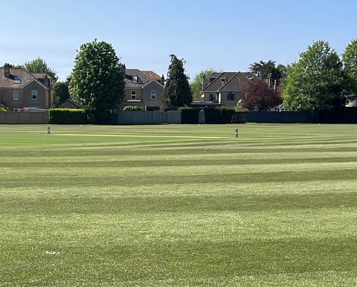 David cobb tweet media