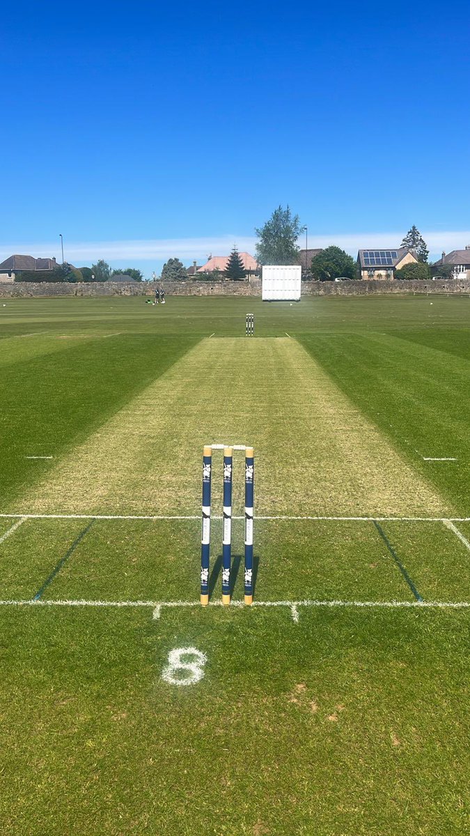 David cobb tweet media