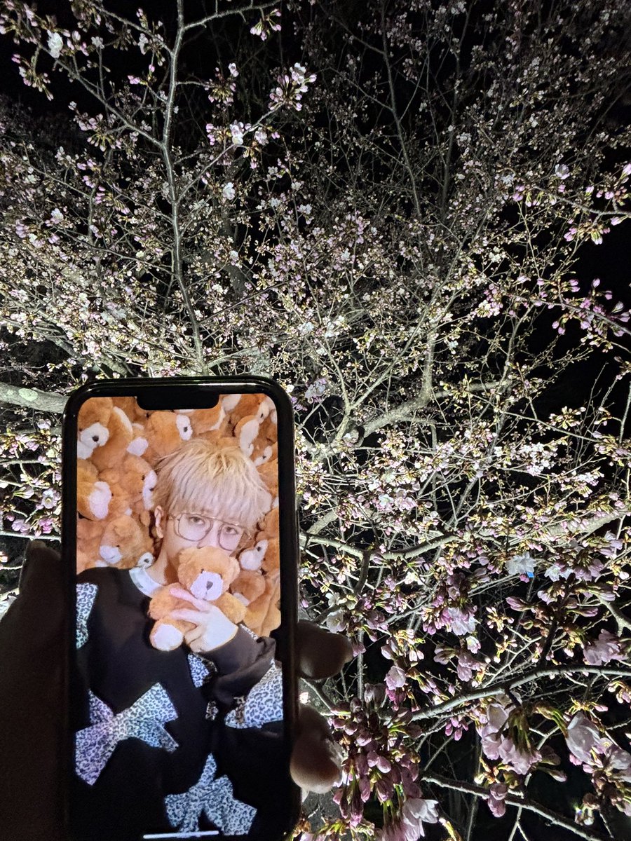 difk_24's tweet photo. アクスタもりっぴーも忘れたので写真で、、
🌸全国からNissyへ春をお届け📣🌸
#Nissy_Re10th 全力で完走したNissyへ全国から桜のプレゼント🎁
#Nissy_NBC
#Nissy_Re10th最高の到達点をありがとう
#Nissyに私達から春のお知らせ
#各地の桜
#NissyへLippy_Rujju_桜
@NissyStaff https://t.co/bn6FDL2CBr