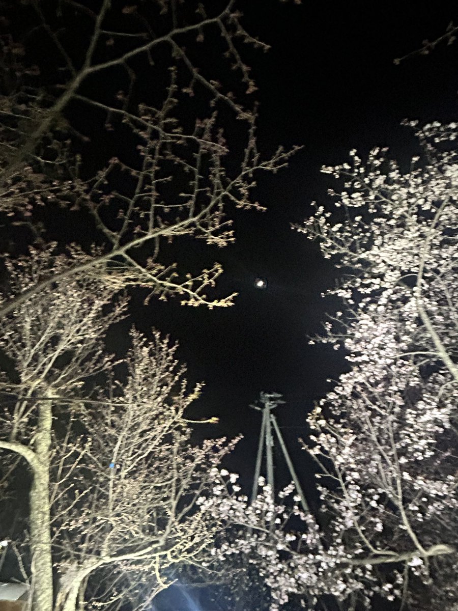 difk_24's tweet photo. アクスタもりっぴーも忘れたので写真で、、
🌸全国からNissyへ春をお届け📣🌸
#Nissy_Re10th 全力で完走したNissyへ全国から桜のプレゼント🎁
#Nissy_NBC
#Nissy_Re10th最高の到達点をありがとう
#Nissyに私達から春のお知らせ
#各地の桜
#NissyへLippy_Rujju_桜
@NissyStaff https://t.co/bn6FDL2CBr