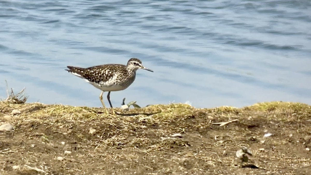 James Wilkinson tweet media